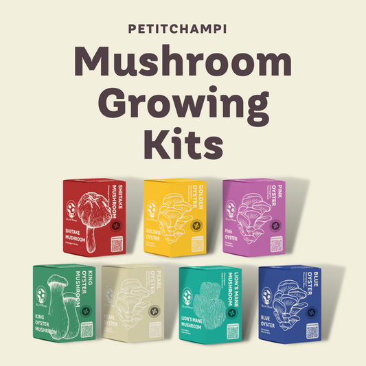 Top places to buy Mushroom in Quebec city