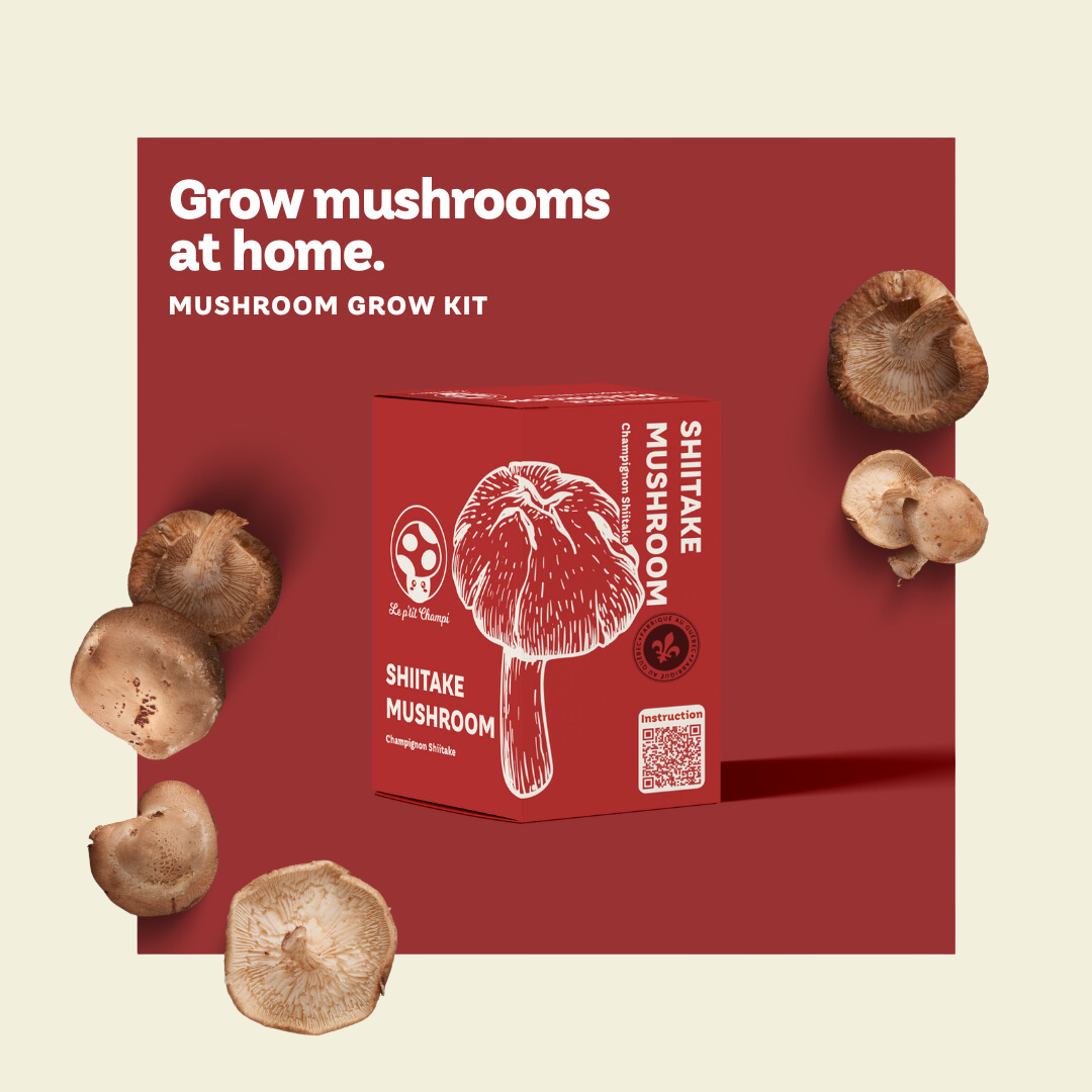 Shiitake Mushroom Growing Kit