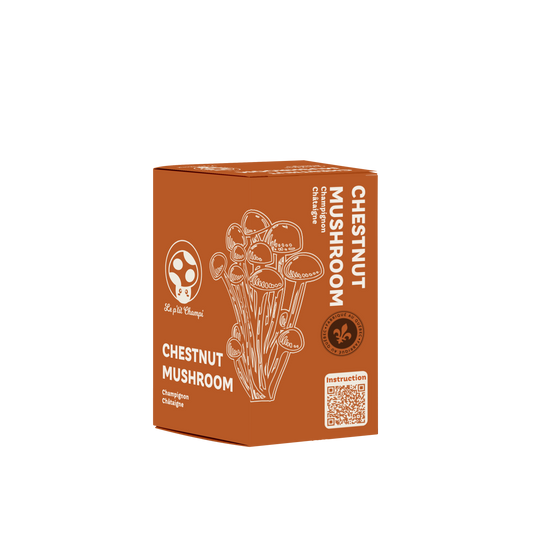 Chestnut Mushroom Kit - Le Petit Champi