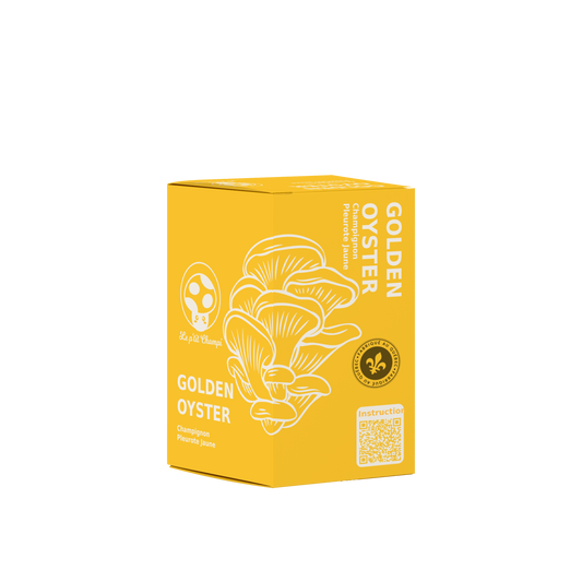 Golden Oyster Mushroom Growing Kit