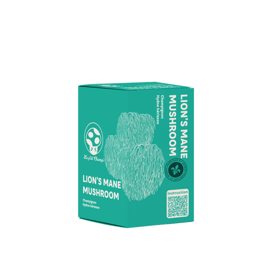 Lion's Mane Mushroom Growing Kit