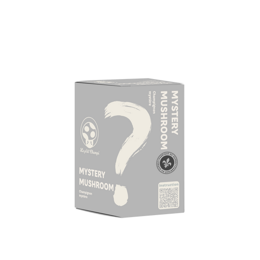 Mystery Mushroom Growing Kit