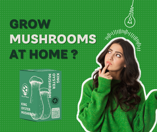 what are mushroom grow kits