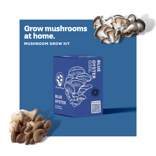 Exploring the Value: Are Mushroom Grow Kits Worth the Investment?