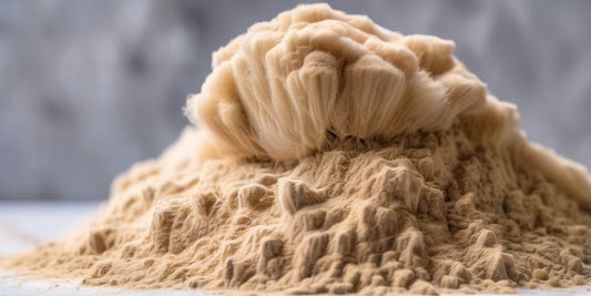 Unlocking the Health Benefits of Lion's Mane Powder: Is It Truly Beneficial?