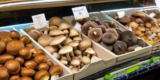 Mushroom Market Leaders: The Most Commonly Sold Varieties