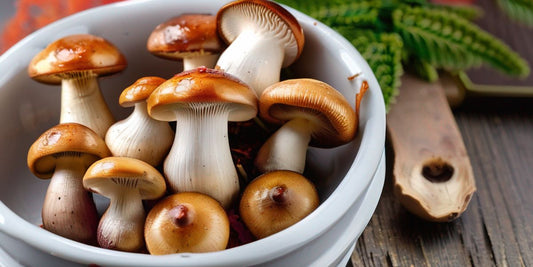 Unearthing Profits in the North: Is Mushroom Farming Lucrative in Canada?