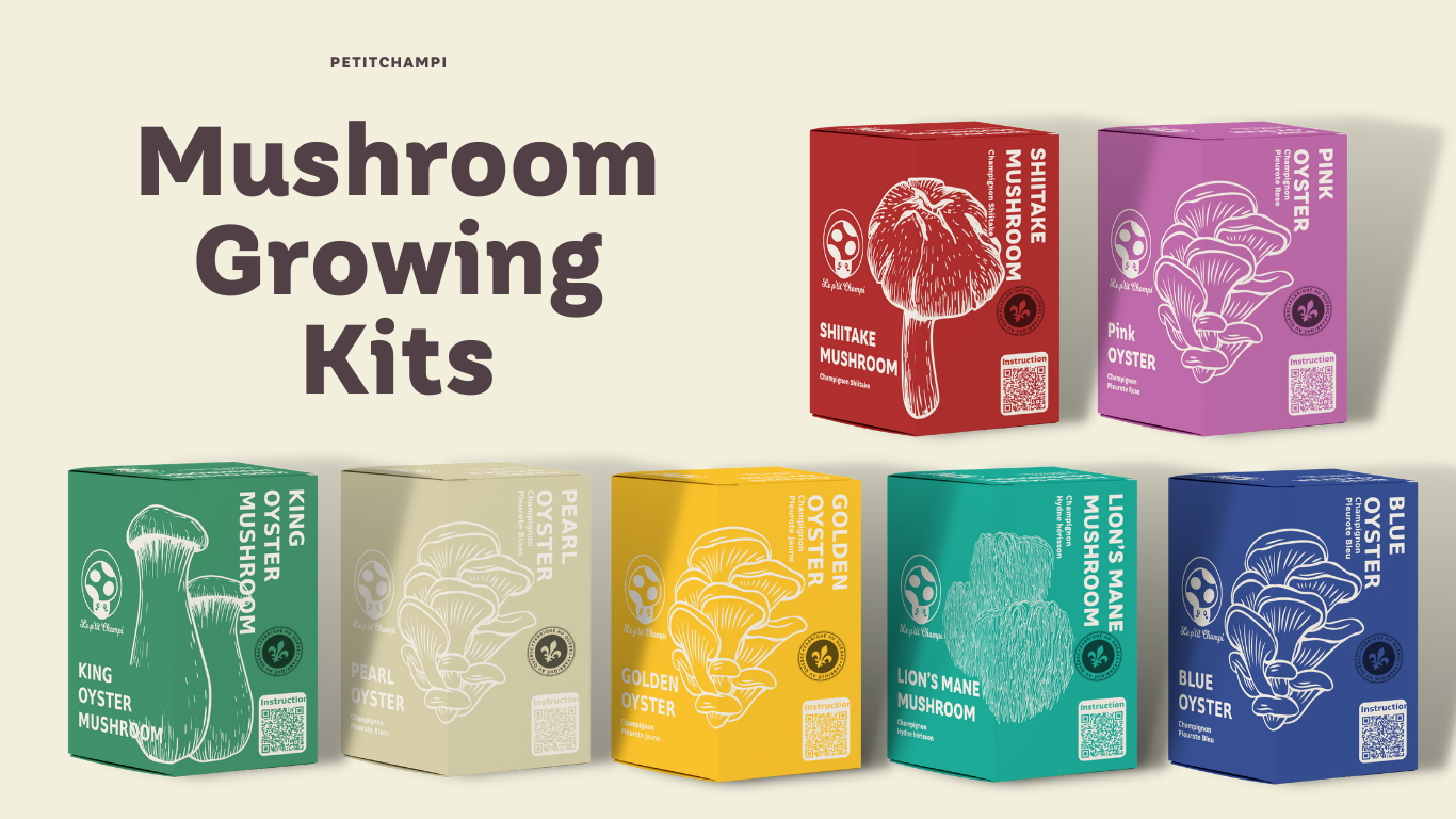 Petitchampi Mushroom Growing kits