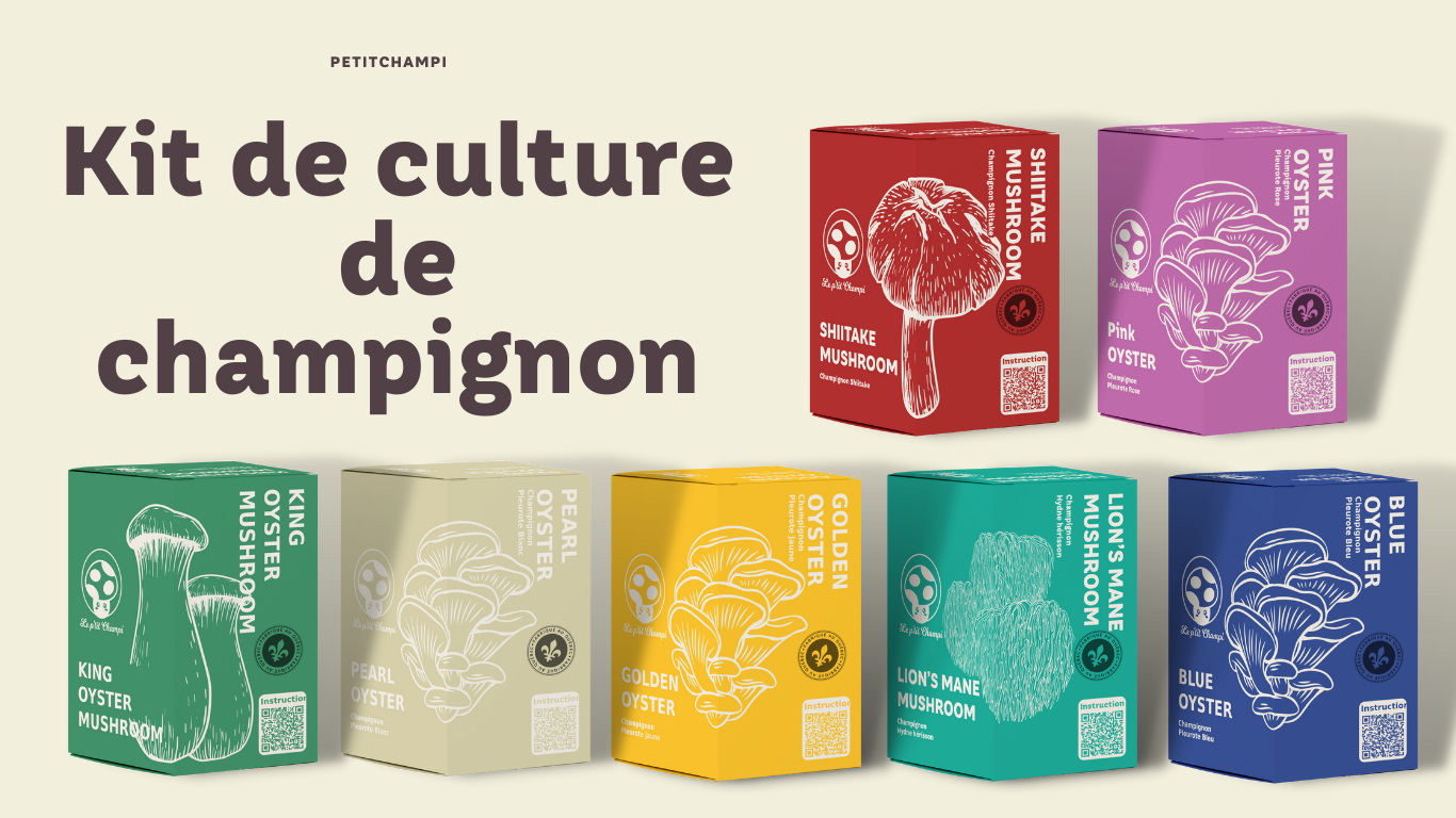 Kits de Culture de champignon