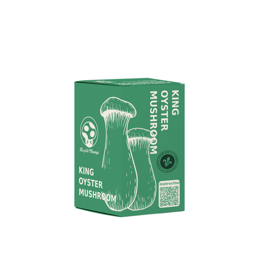 King Oyster Mushroom Growing Kit